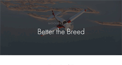 Desktop Screenshot of mooneysummit.com